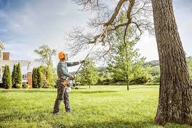 Best Tree Maintenance Programs  in Woodsboro, MD