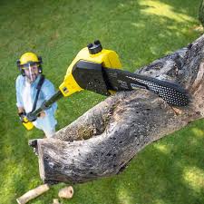 Best Lawn Watering Services  in Woodsboro, MD
