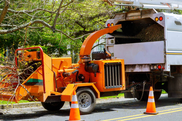 Best Utility Line Clearance  in Woodsboro, MD